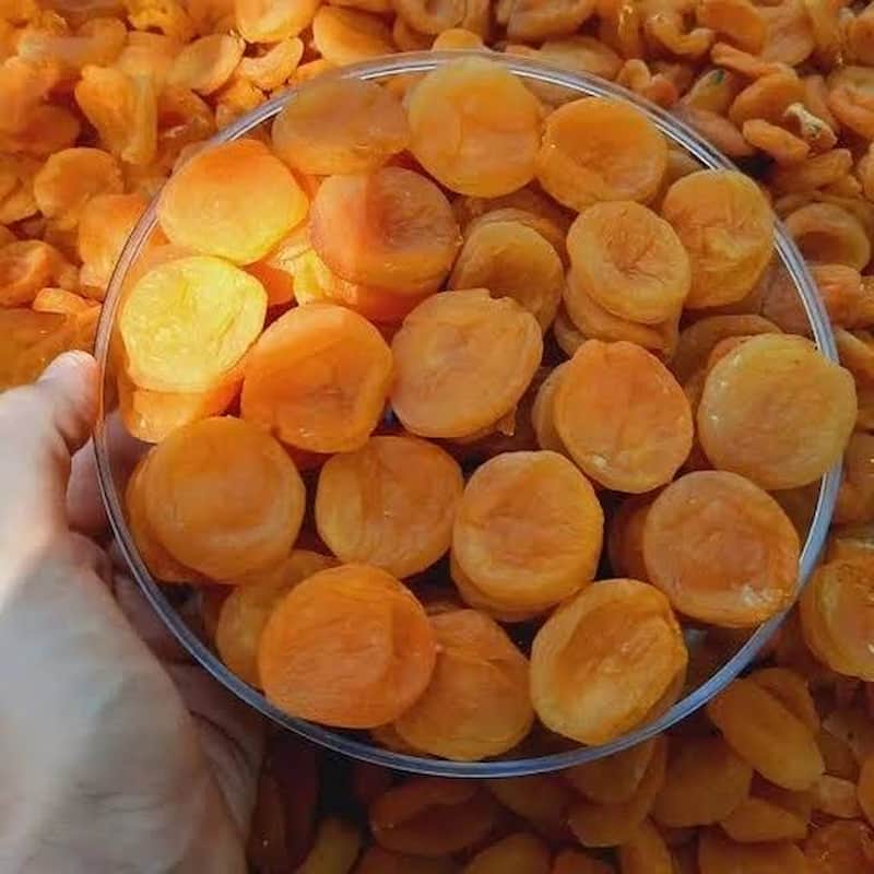 قیسی شاهرود